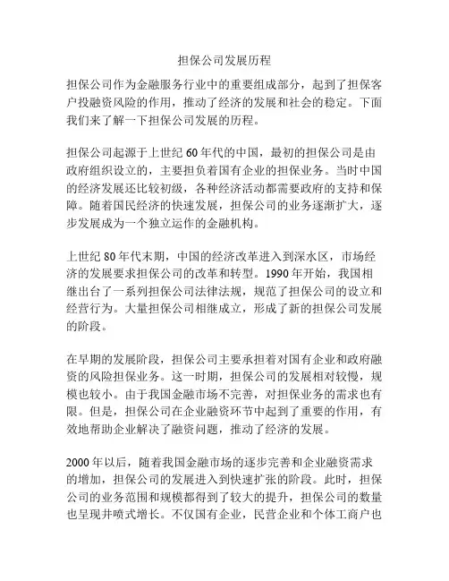 担保公司发展历程
