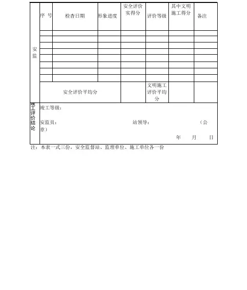 十项安全安全检查评分表