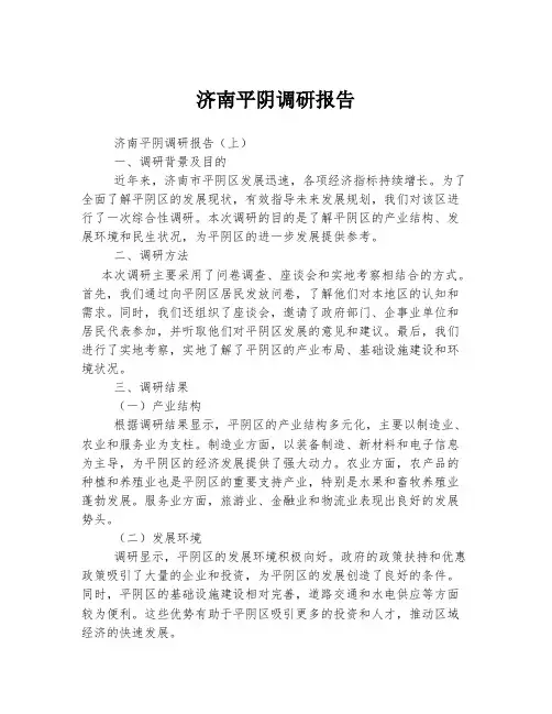 济南平阴调研报告