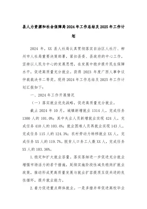 县人力资源和社会保障局2024年工作总结及2025年工作计划