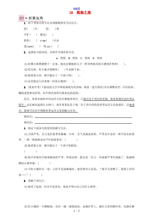 九年级语文上册 第三单元 10《孤独之旅》练习 (新版)新人教版-(新版)新人教版初中九年级上册语文