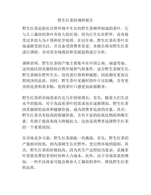 野生红茶的调研报告