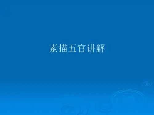 素描五官讲解PPT课件