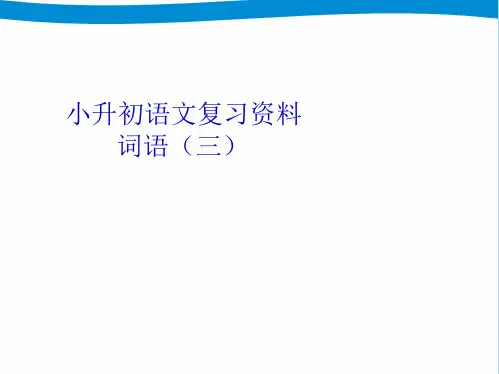 小升初专项复习词语(共69张PPT)