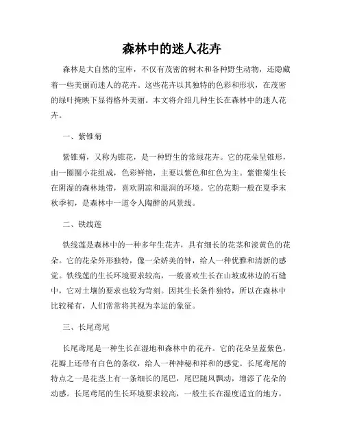 森林中的迷人花卉