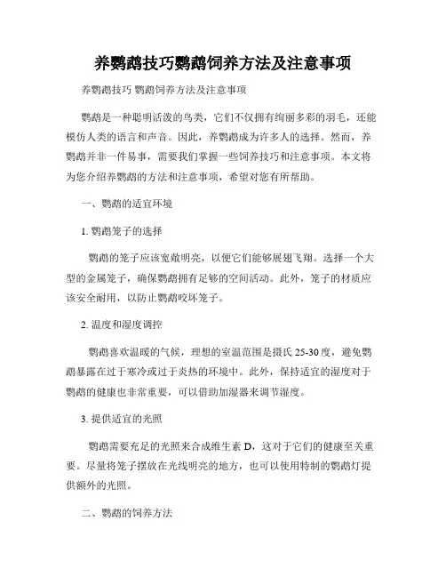 养鹦鹉技巧鹦鹉饲养方法及注意事项