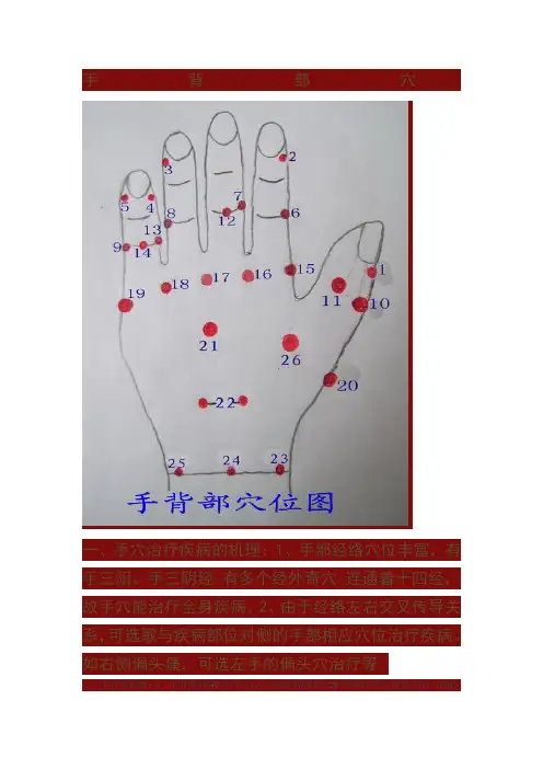 手背穴位图及解说