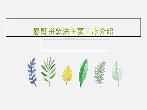 悬臂拼装法主要工序介绍PPT文档27页