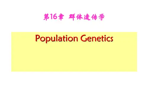 群体遗传学