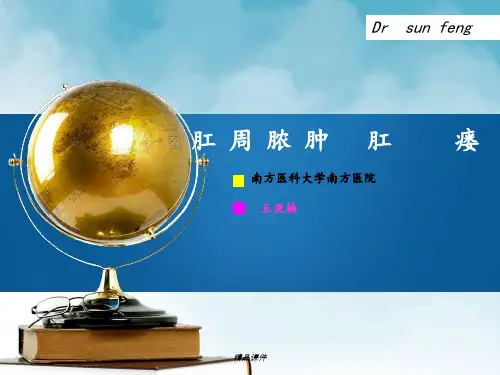 肛周脓肿、肛瘘(1)