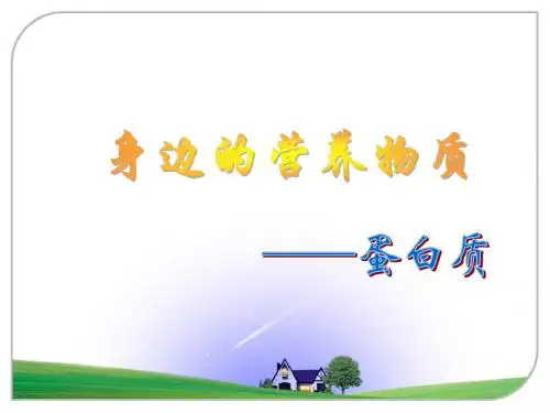 蛋白质性质实验