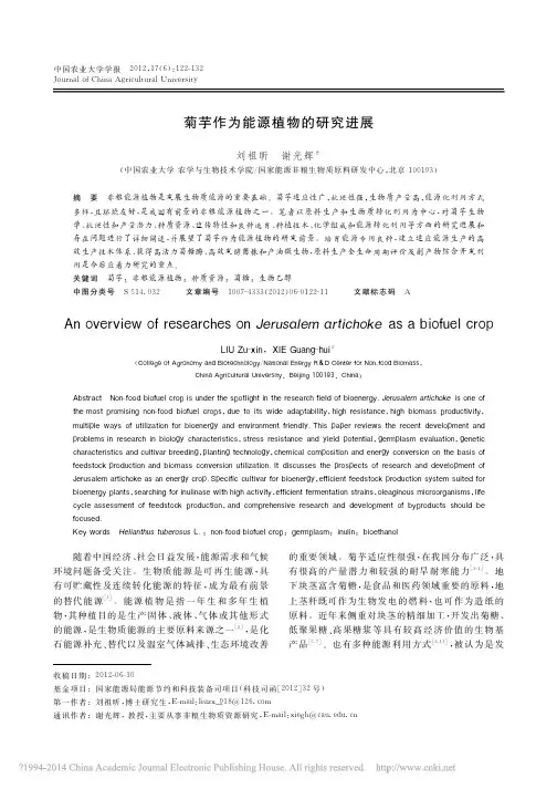 菊芋作为能源植物的研究进展_刘祖昕