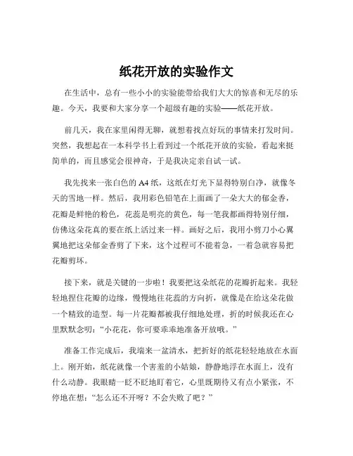 纸花开放的实验作文