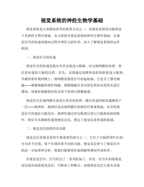 视觉系统的神经生物学基础