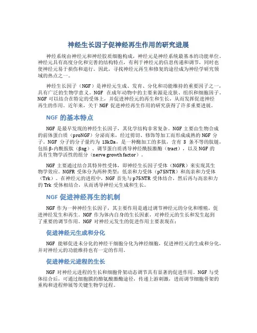 神经生长因子促神经再生作用的研究进展