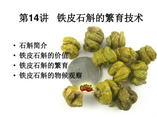 第14章 铁皮石斛快速繁育