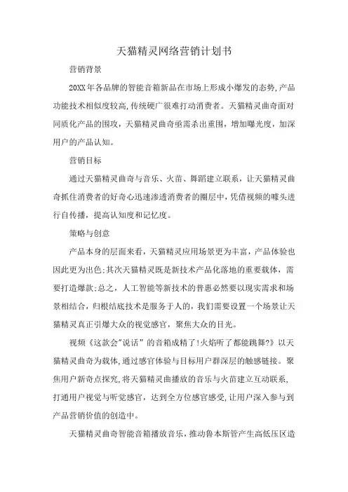 天猫精灵网络营销计划书