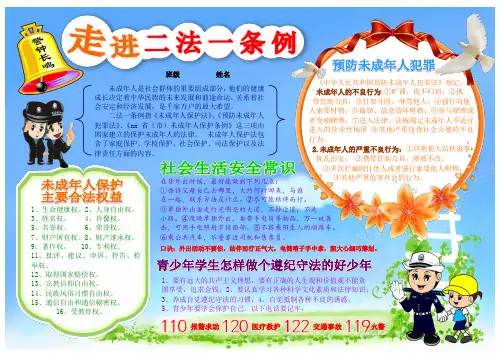 走进两法一条例法制小报遵纪守法简报报刊简报法制法规手抄报模板法律知识剪报板报法治报纸海报A4