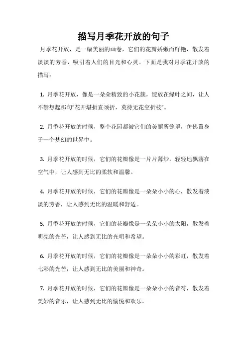 描写月季花开放的句子