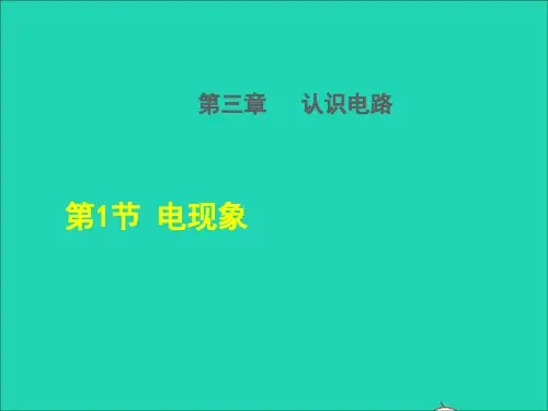 九年级物理上册第1节 电现象课件
