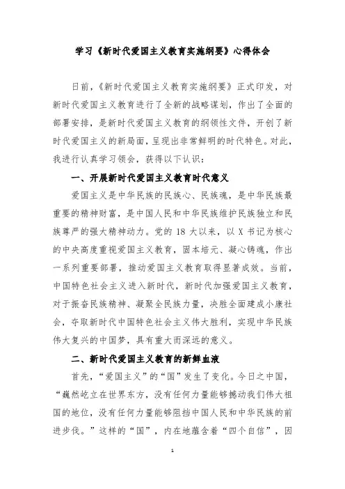 《新时代爱国主义教育实施纲要》学习心得新时代爱国主义教育实施纲要读后感