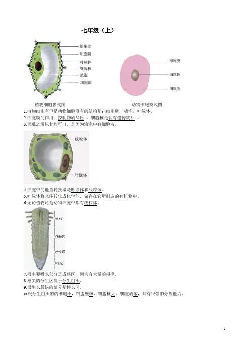 生物会考中各册图集汇总