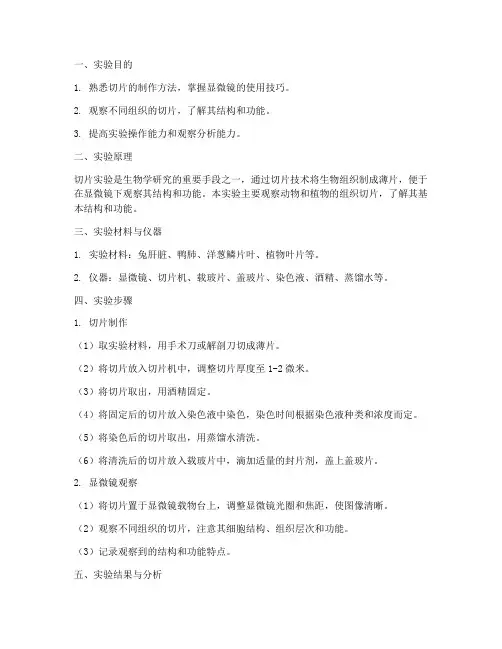 观察切片实验报告