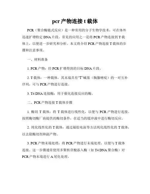 pcr产物连接t载体