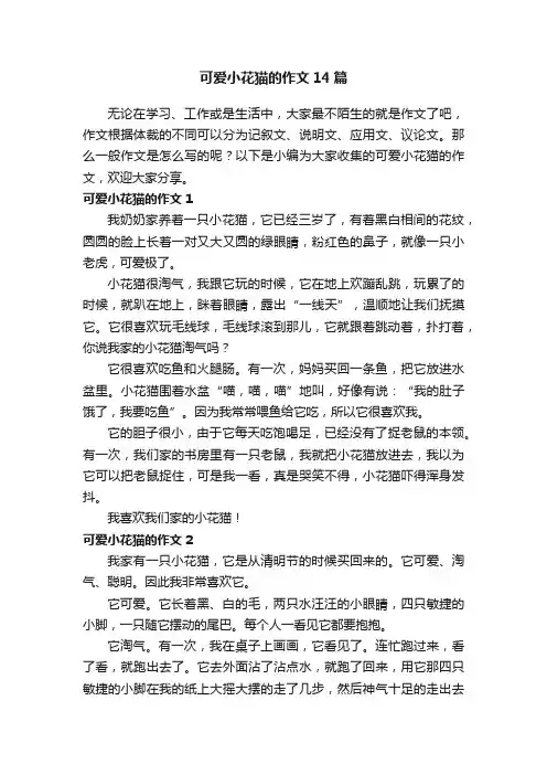 可爱小花猫的作文14篇