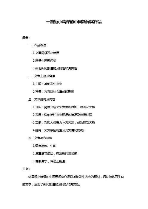 一篇短小精悍的中国新闻奖作品