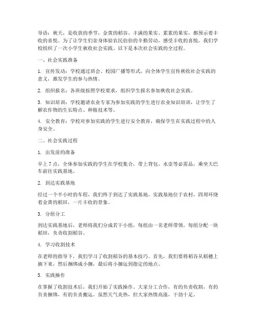 小学生秋收社会实践过程