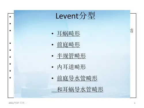 齐鲁医学先天性内耳畸形.pptx