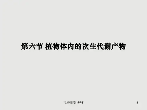第六章 植物的次级代谢产物ppt课件