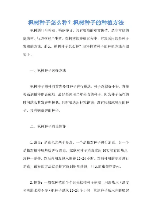 枫树种子怎么种？枫树种子的种植方法