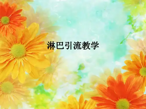 淋巴引流ppt课件
