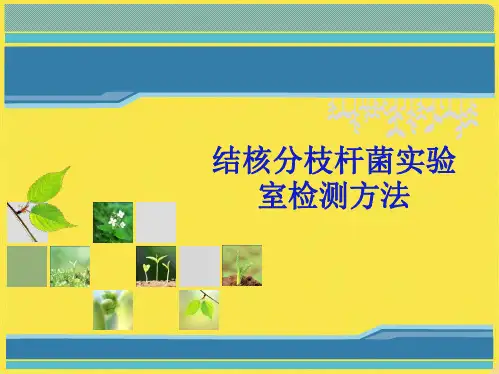 结核分枝杆菌实验室检测方法(共30张PPT)