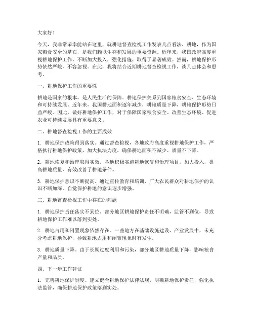 耕地督查检视发言稿范文