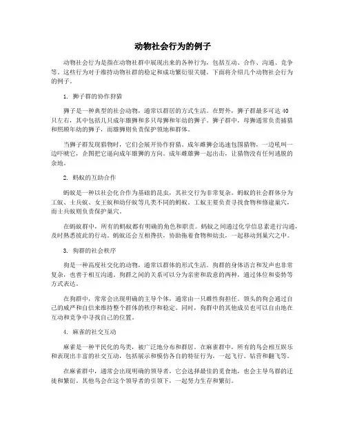 动物社会行为的例子