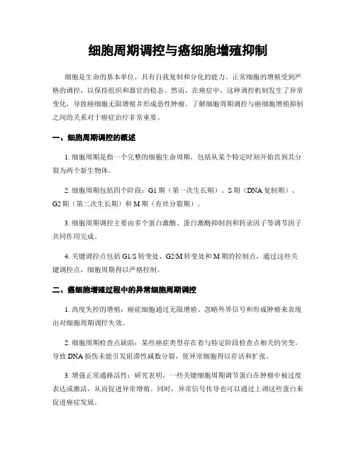 细胞周期调控与癌细胞增殖抑制