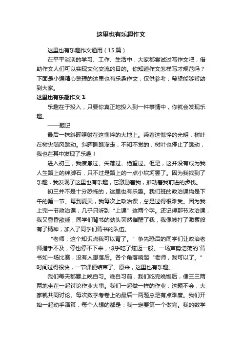 这里也有乐趣作文