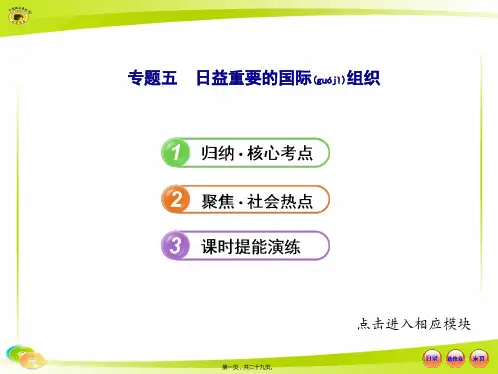 联合国：日益重要的国际组织(共29张PPT)