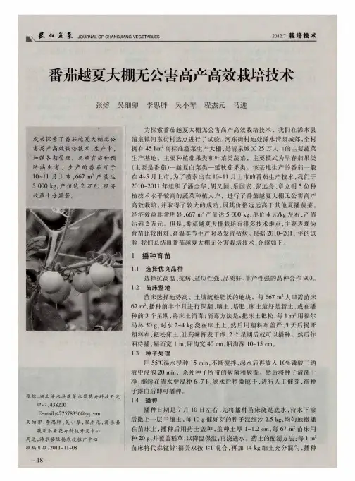 番茄越夏大棚无公害高产高效栽培技术