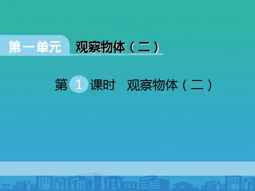 《观察物体》PPT