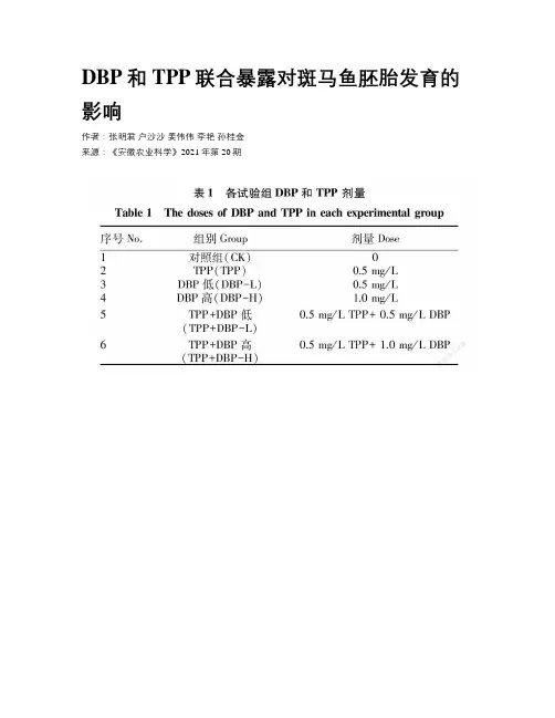 DBP和TPP联合暴露对斑马鱼胚胎发育的影响