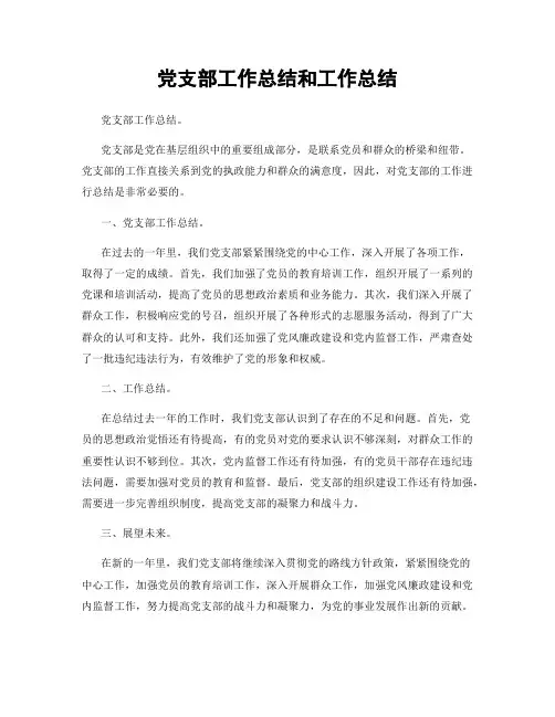 党支部工作总结和工作总结