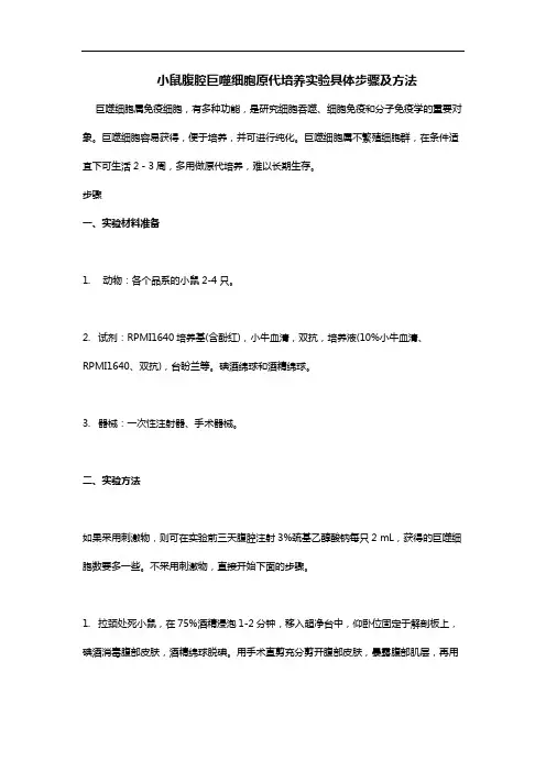 小鼠腹腔巨噬细胞原代培养实验具体步骤及方法