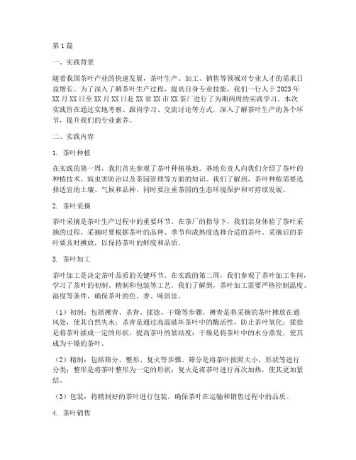 茶厂实践报告范文(2篇)