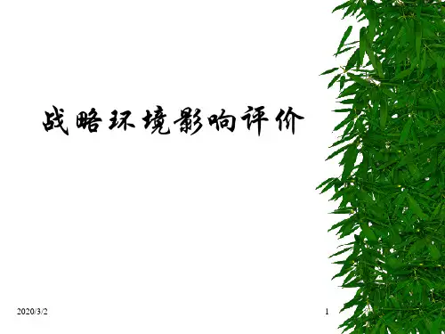 战略环境影响评价