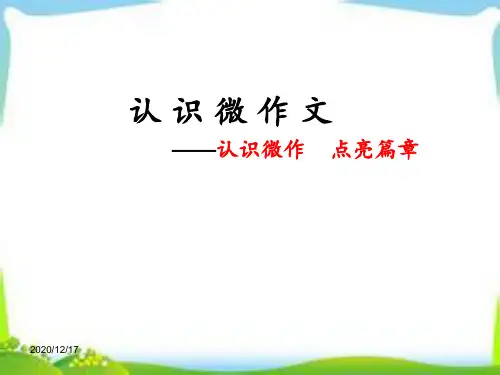 微写作指导 ppt课件