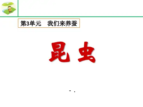 《昆虫》我们来养蚕PPT课件